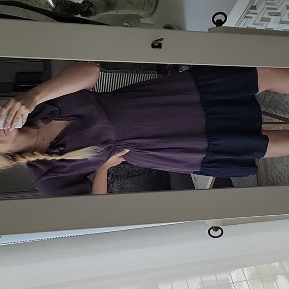 Vena Cava 100% Silk Purple and Navy  Dress Size 4 Short Sleeve - Picture 1 of 8